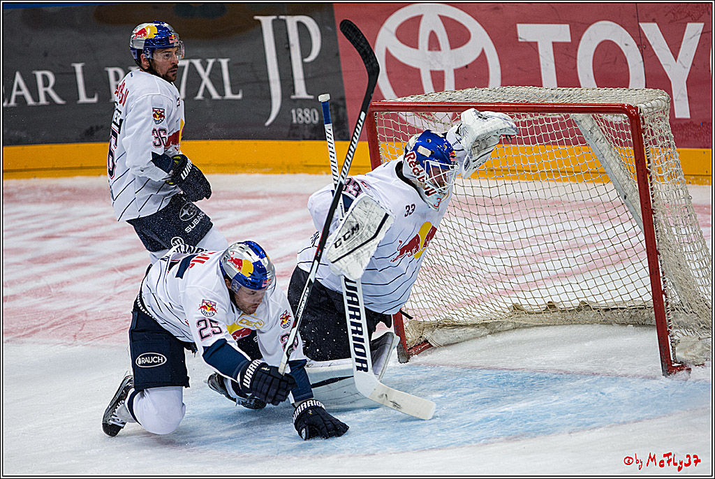 DEL, Koelner Haie - Red Bull Muenchen, 03.01.2017
